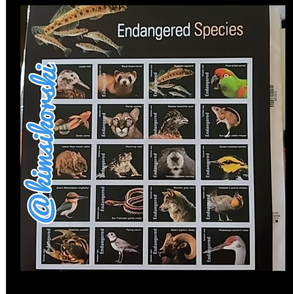 100 Forever Stamps‎ Endangered Species Animals Stamp USPS Postage Mail